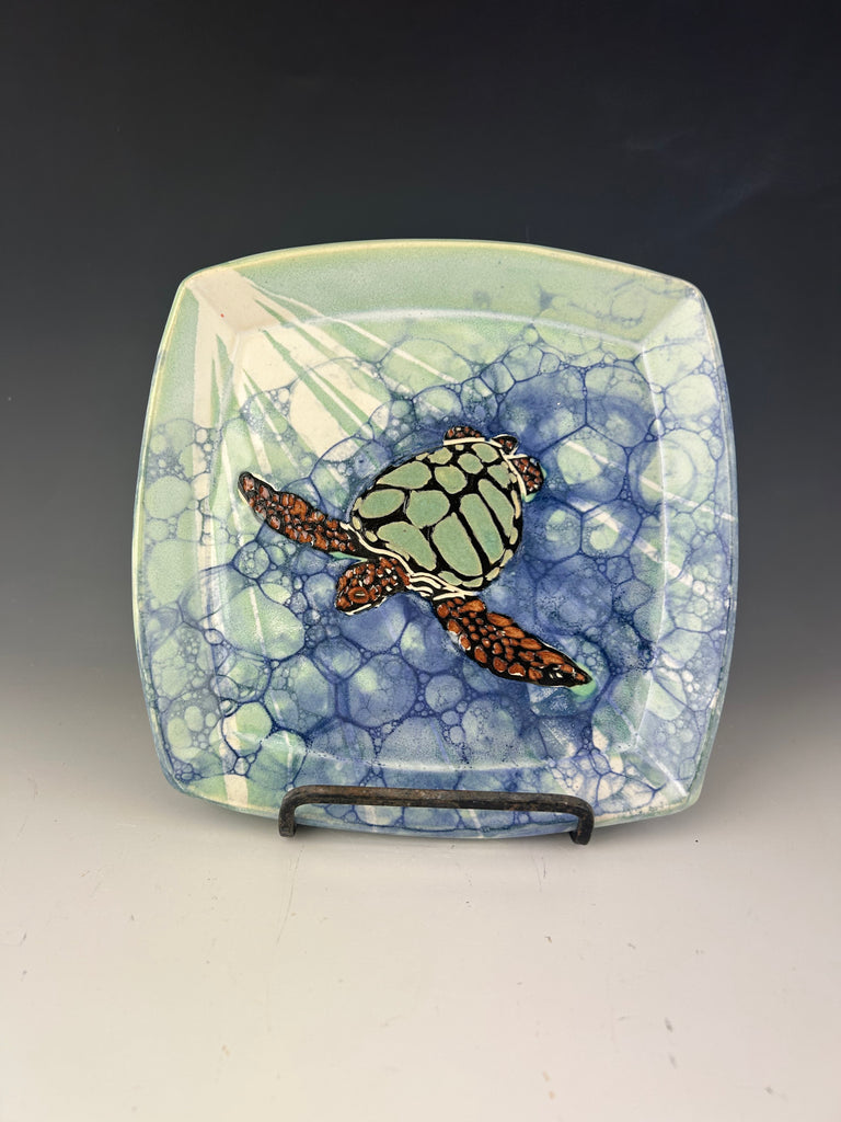 Turtle Plate medium