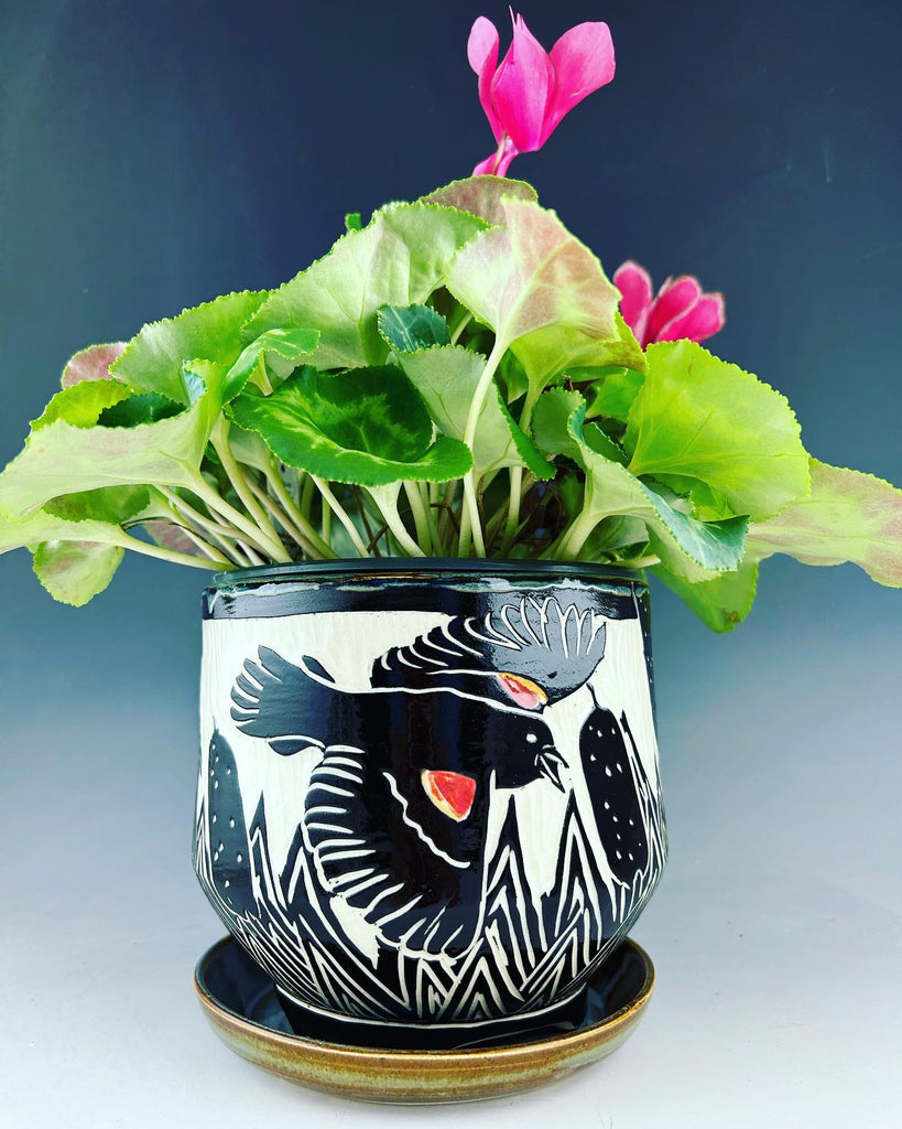 Red Winged Blackbird Medium planter in Gray